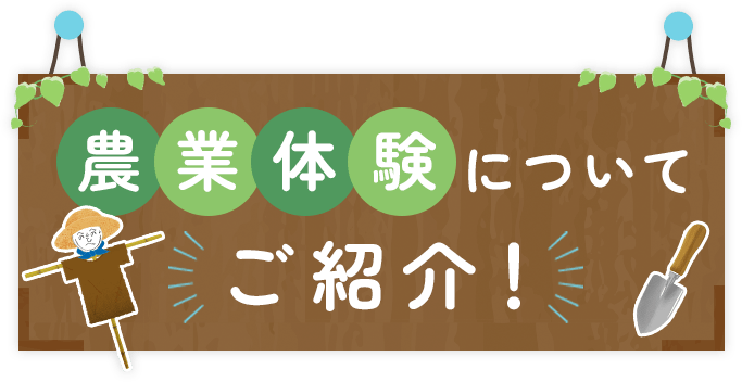 農業体験についてご紹介！